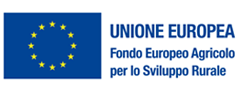 Fondo europeo agricolo per lo sviluppo rurale (FEASR)